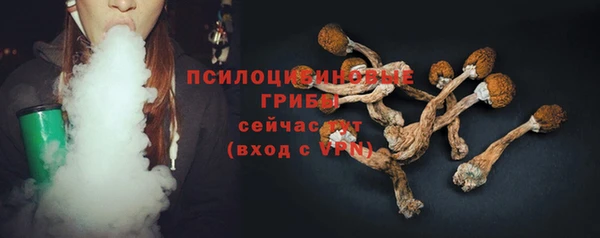 шишки Белокуриха