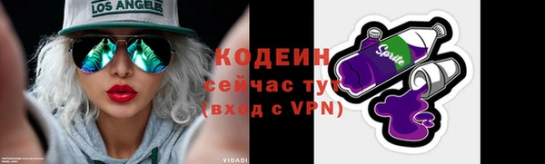 шишки Белокуриха