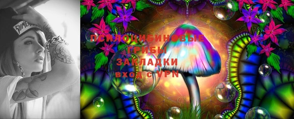 шишки Белокуриха