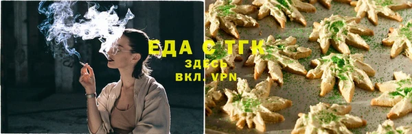 шишки Белокуриха