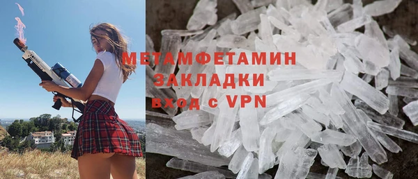 шишки Белокуриха
