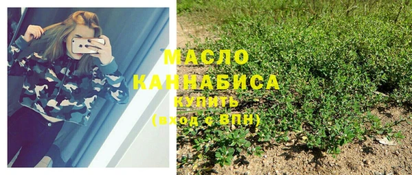 шишки Белокуриха