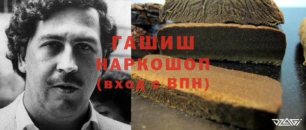 шишки Белокуриха