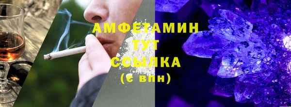 шишки Белокуриха