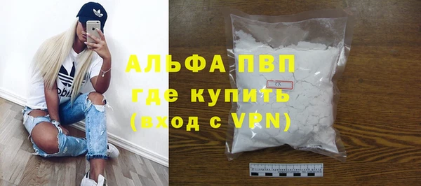 шишки Белокуриха