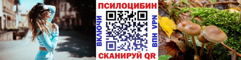 Галлюциногенные грибы GOLDEN TEACHER  магазин продажи наркотиков  Кремёнки 